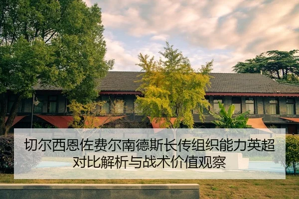 切尔西恩佐费尔南德斯长传组织能力英超对比解析与战术价值观察 - leyu