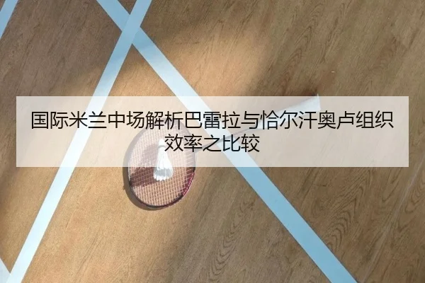 国际米兰中场解析巴雷拉与恰尔汗奥卢组织效率之比较（leyu）